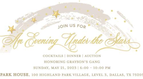 A Night Under The Stars Gala - LUXE Creative